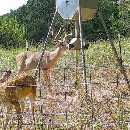 Sherman, TX 75092 Grayson County