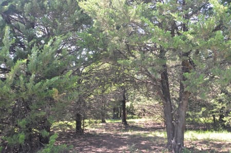 Pottsboro, TX 75076 Grayson County