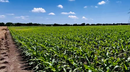 Alvarado, TX 76009 Johnson County