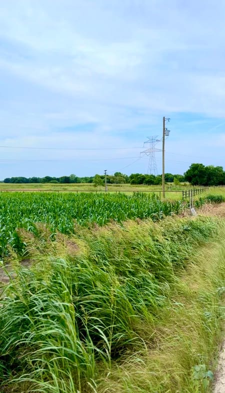 Alvarado, TX 76009 Johnson County