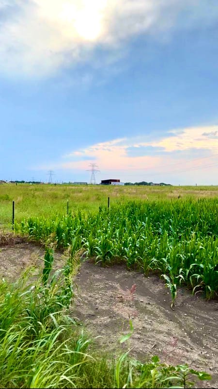 Alvarado, TX 76009 Johnson County