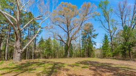 Linden, TX 75563 Cass County