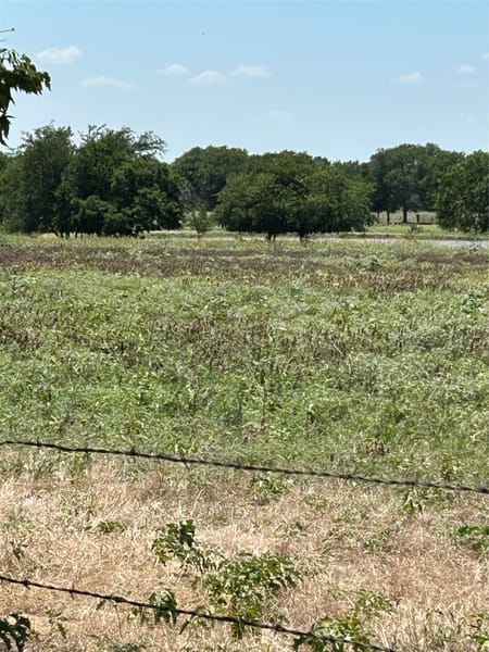 Tioga, TX 76271 Grayson County