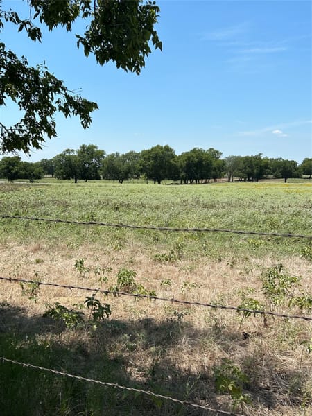 Tioga, TX 76271 Grayson County