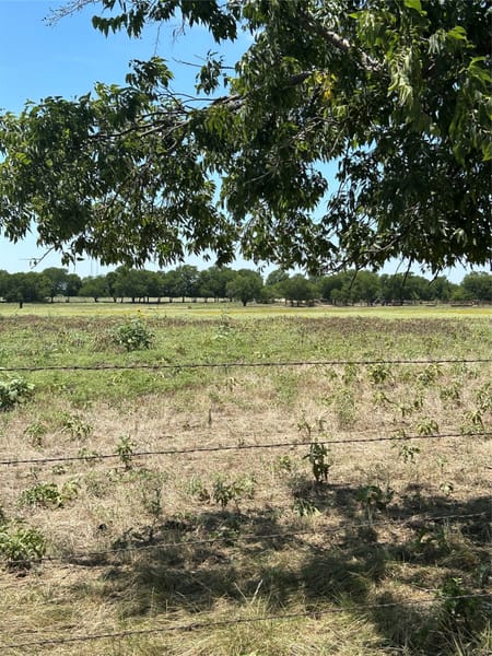 Tioga, TX 76271 Grayson County