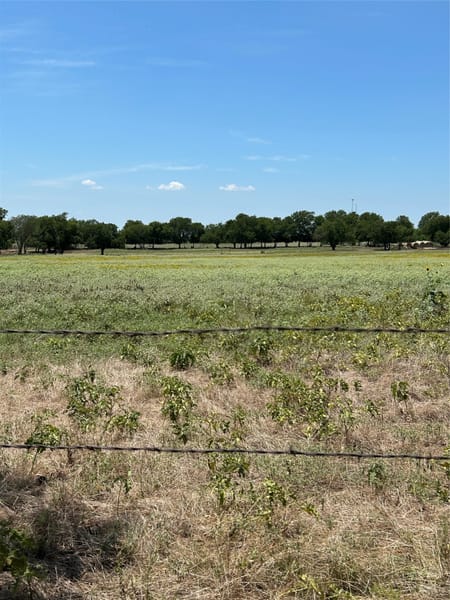 Tioga, TX 76271 Grayson County