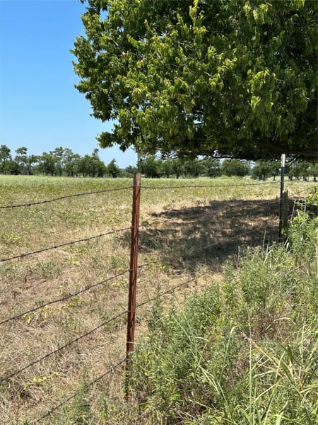 Tioga, TX 76271 Grayson County