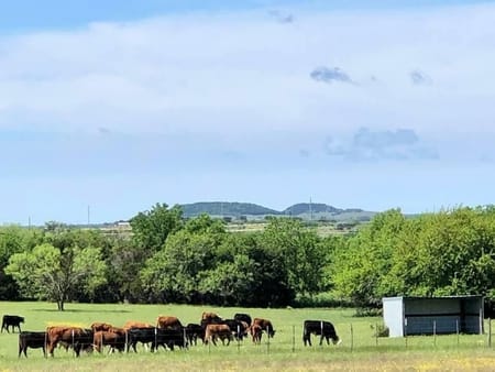 Walnut Springs, TX 76690 Bosque County