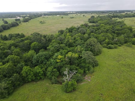 Iola, TX 77861 Grimes County
