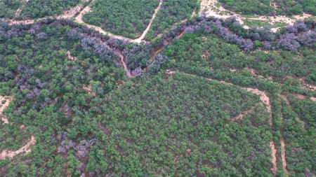 Charlotte, TX 78011 Atascosa County