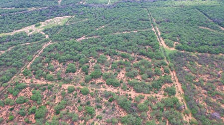Charlotte, TX 78011 Atascosa County