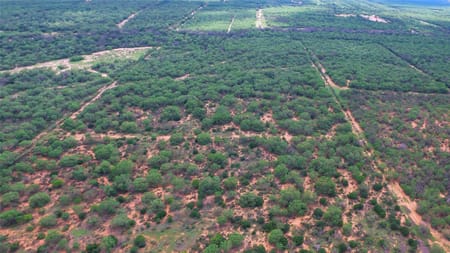 Charlotte, TX 78011 Atascosa County