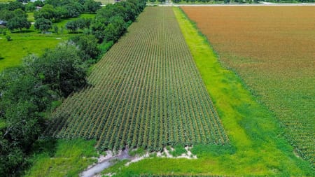 Rosenberg, TX 77471 Fort Bend County