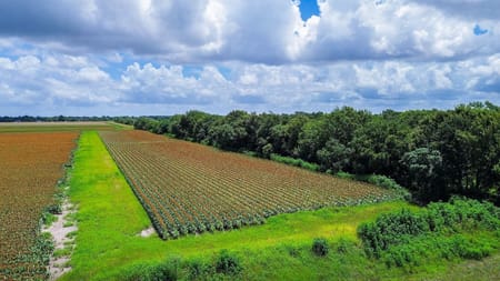 Rosenberg, TX 77471 Fort Bend County