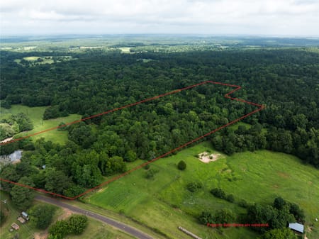 Palestine, TX 75803 Anderson County