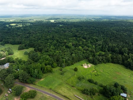 Palestine, TX 75803 Anderson County