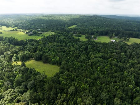 Palestine, TX 75803 Anderson County