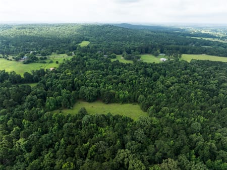 Palestine, TX 75803 Anderson County