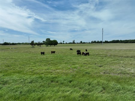 Leonard, TX 75452 Fannin County