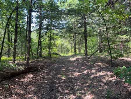 Monkstown, TX 75446 Fannin County