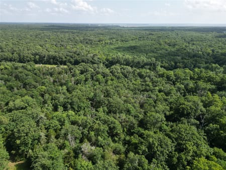 Monkstown, TX 75446 Fannin County