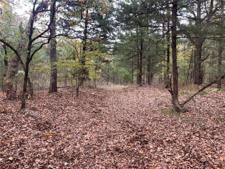 Monkstown, TX 75446 Fannin County