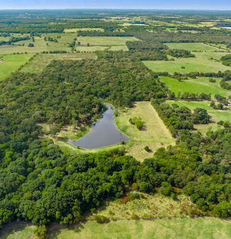 Saltillo, TX 75478 Hopkins County
