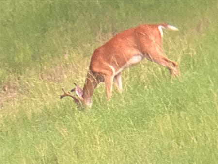 Ben Wheeler, TX 75754 Van Zandt County