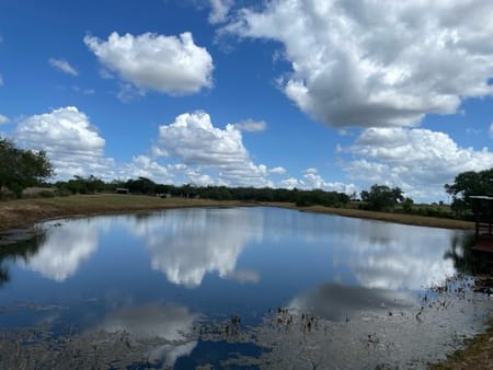 Cost, TX 78614 Gonzales County