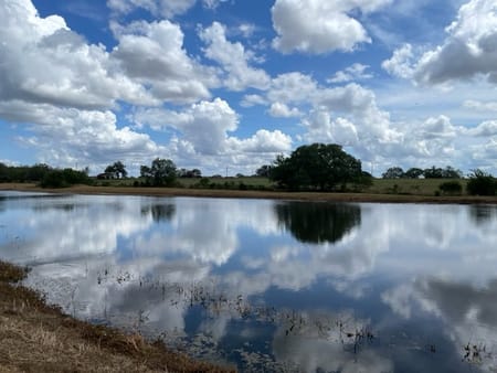 Cost, TX 78614 Gonzales County
