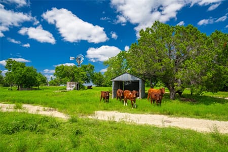 Bertram, TX 78605 Burnet County