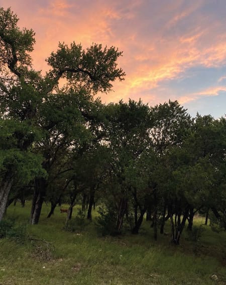 Horseshoe Bay, TX 78657 Burnet County