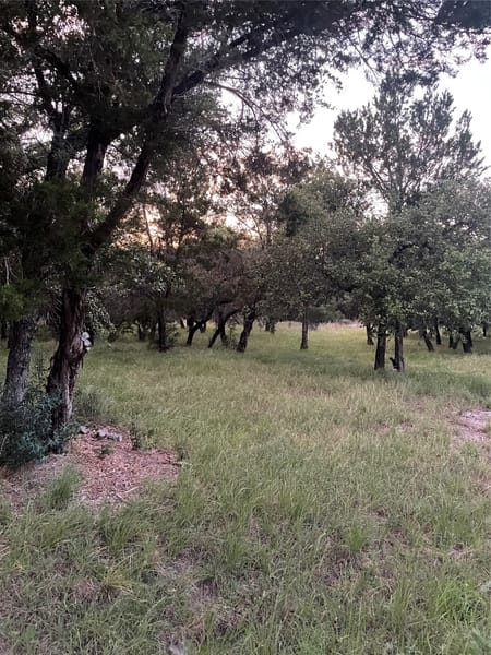 Horseshoe Bay, TX 78657 Burnet County