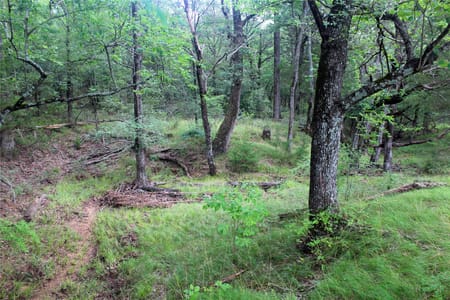 Kerens, TX 75144 Navarro County