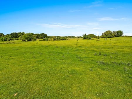 Weimar, TX 78962 Colorado County