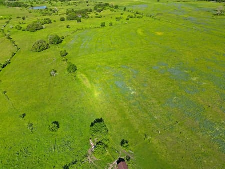 Weimar, TX 78962 Colorado County