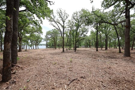Bowie, TX 76230 Montague County