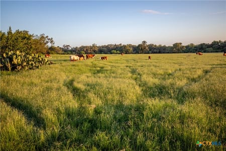 Yorktown, TX 78164 DeWitt County