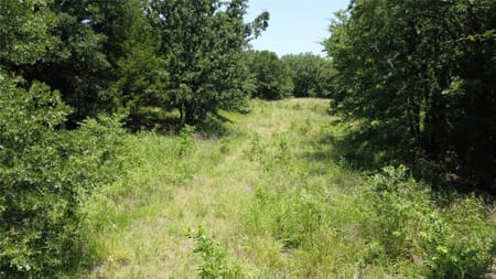 Whitesboro, TX 76264 Grayson County