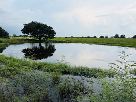 Hallettsville, TX 77964 Colorado County