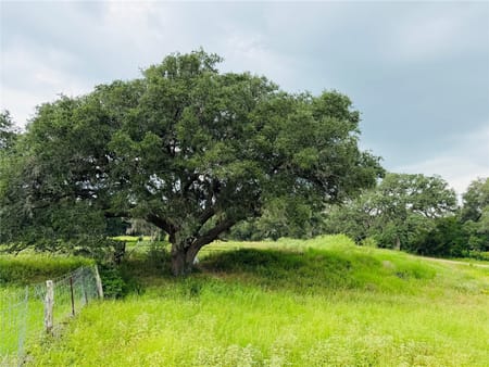 Hallettsville, TX 77964 Colorado County