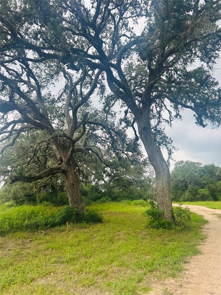 Hallettsville, TX 77964 Colorado County