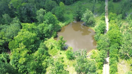 Crockett, TX 75835 Houston County
