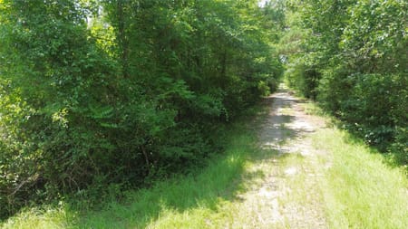 Crockett, TX 75835 Houston County