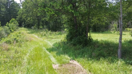 Crockett, TX 75835 Houston County