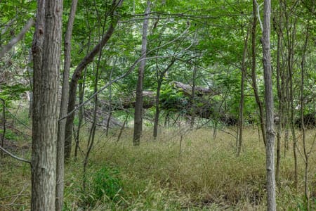 La Grange, TX 78945 Fayette County