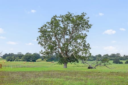 La Grange, TX 78945 Fayette County