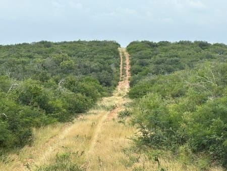Moore, TX 78016 Medina County
