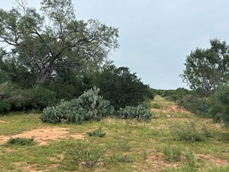 Moore, TX 78016 Medina County