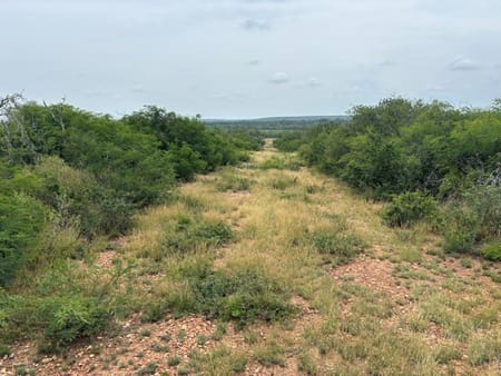 Moore, TX 78016 Medina County